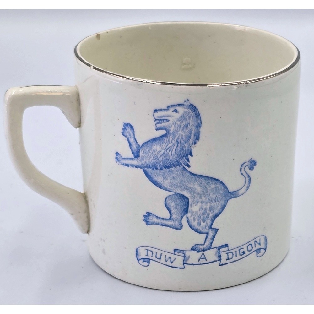 C&E England King George Queen Mary Silver Jubilee 1935 Commemorative  MINI  Mug